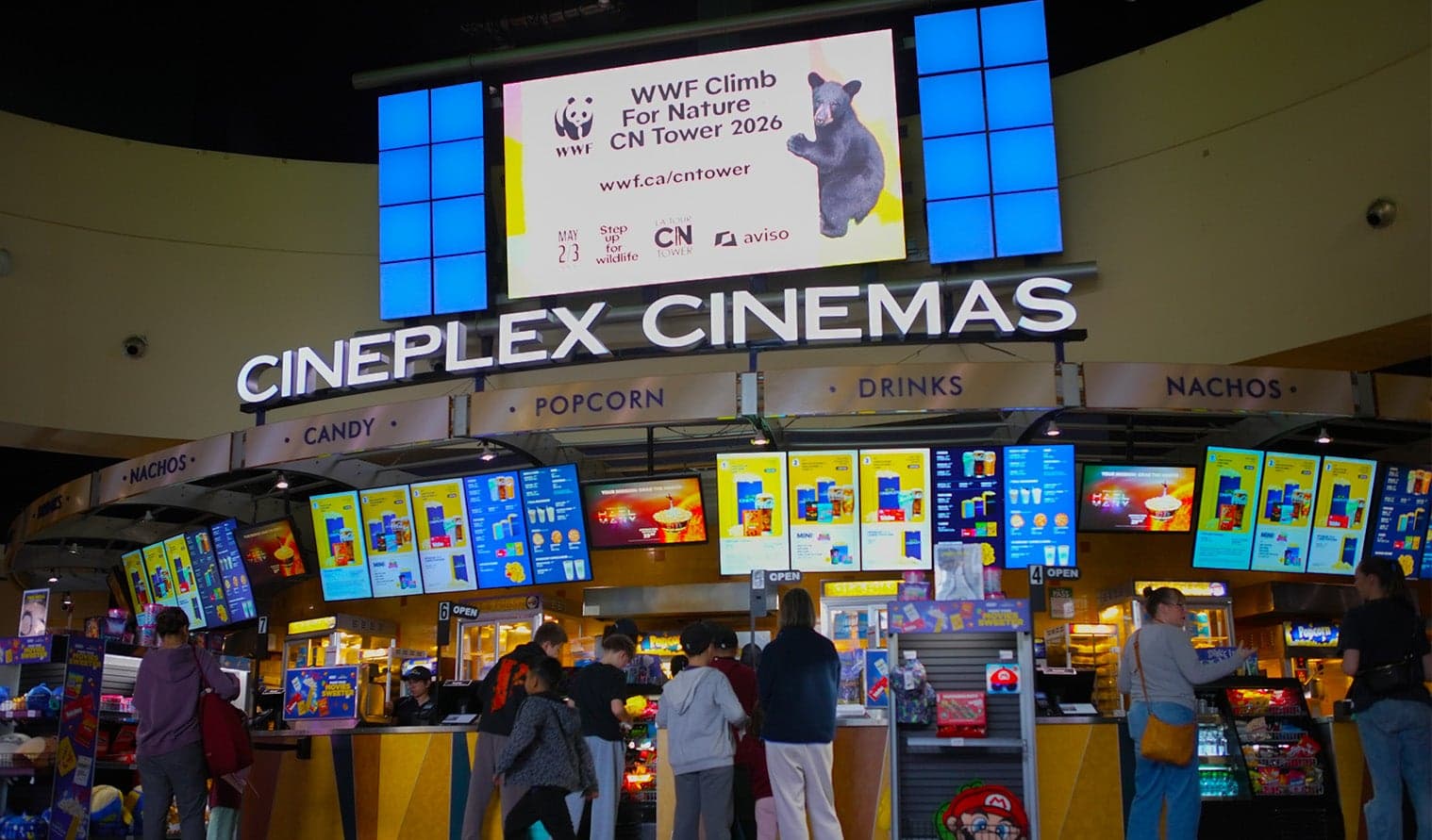 Digital screen at Cineplex Cinemas Queensway displaying World Wildlife Foundation ad above the concession stand