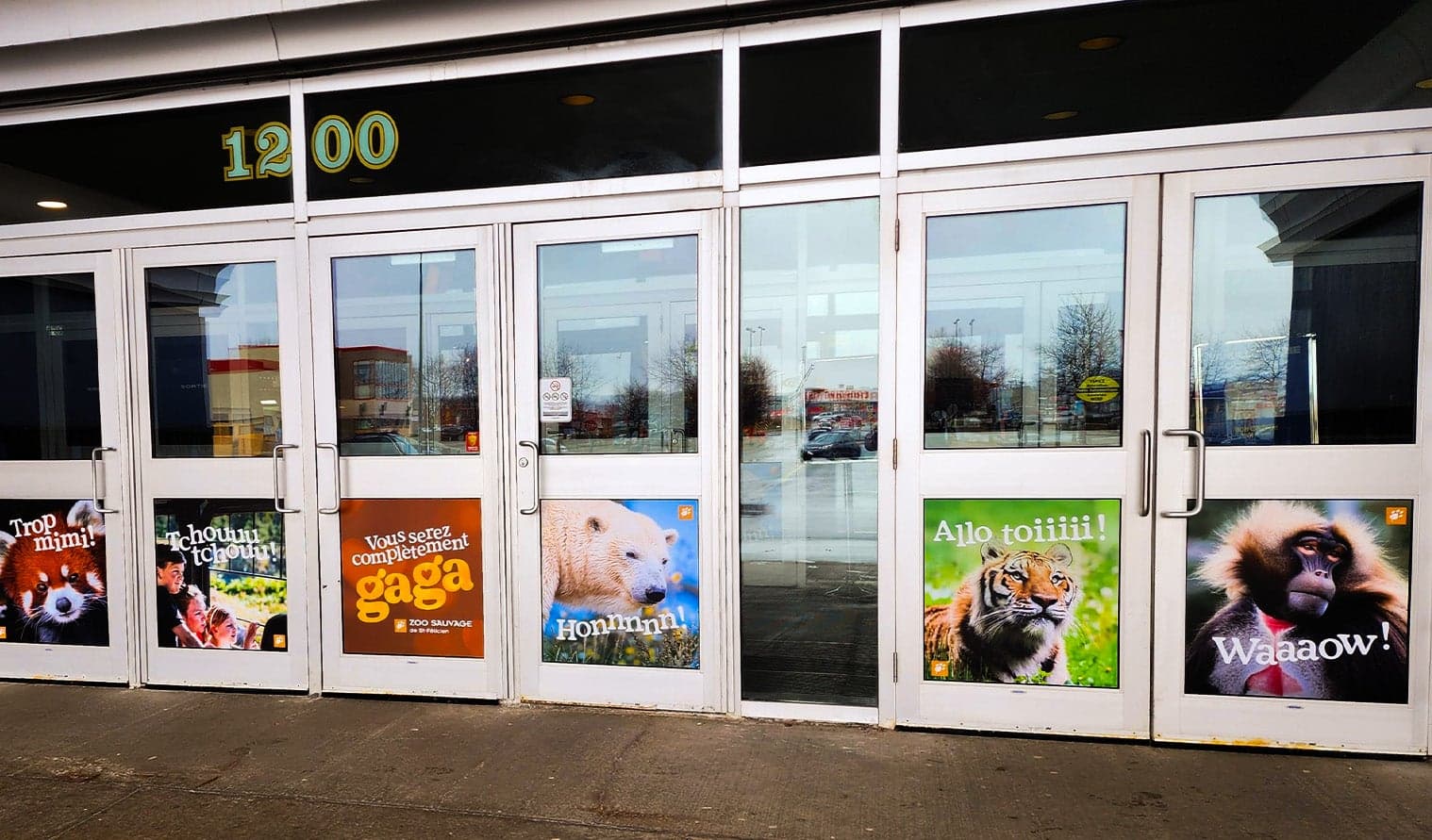 Portes d’entrée du Cinéma Cineplex Odeon Ste-Foy décorées de publicités thématiques du Zoo Sauvage avec des animaux